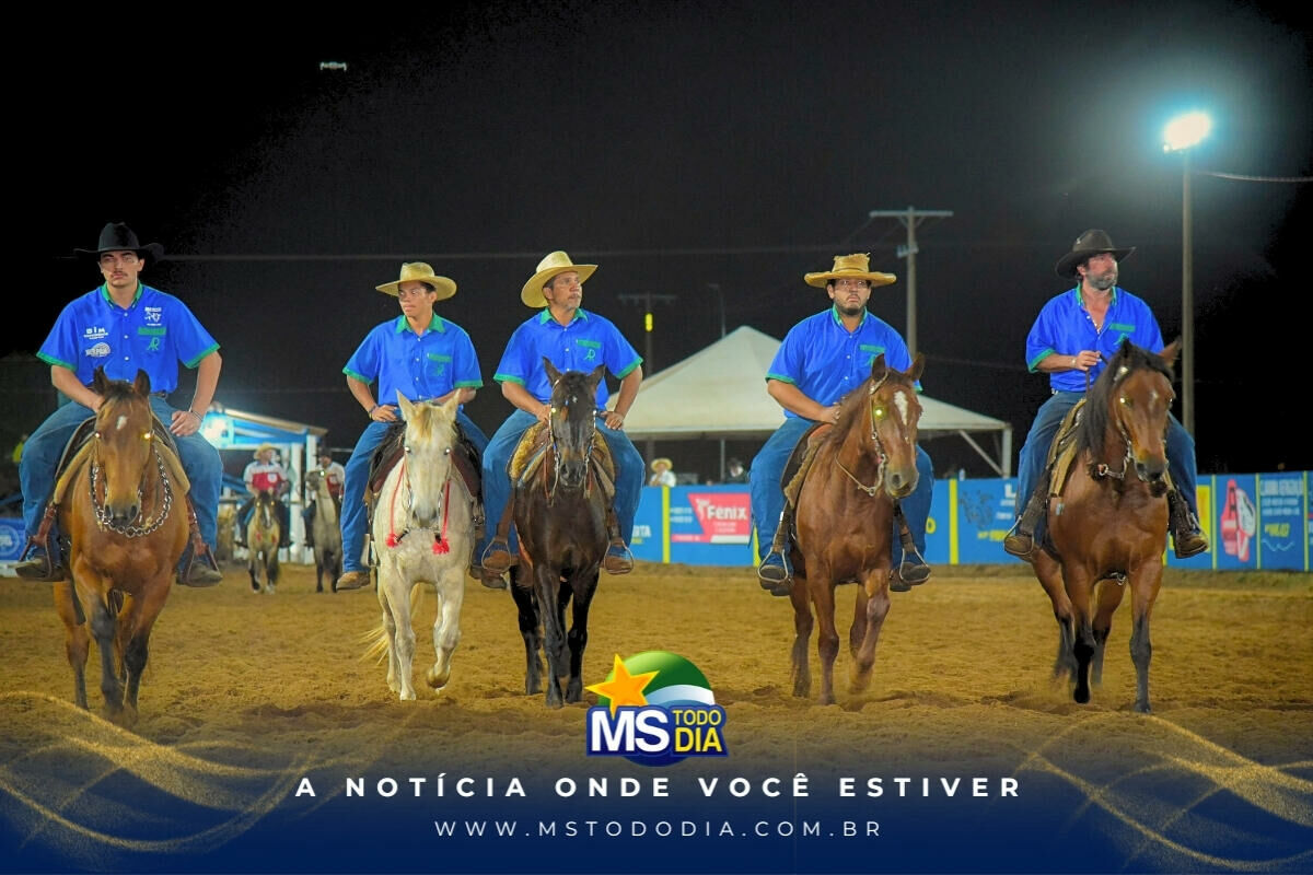 Imagem da Galeria